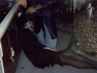 photos 2000-200900362
